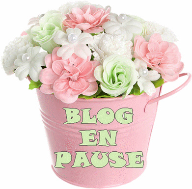  Blog on pause, and me too .... 